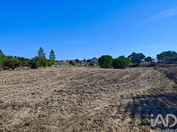 Terreno para Venda em Coruche, Fajarda e Erra
