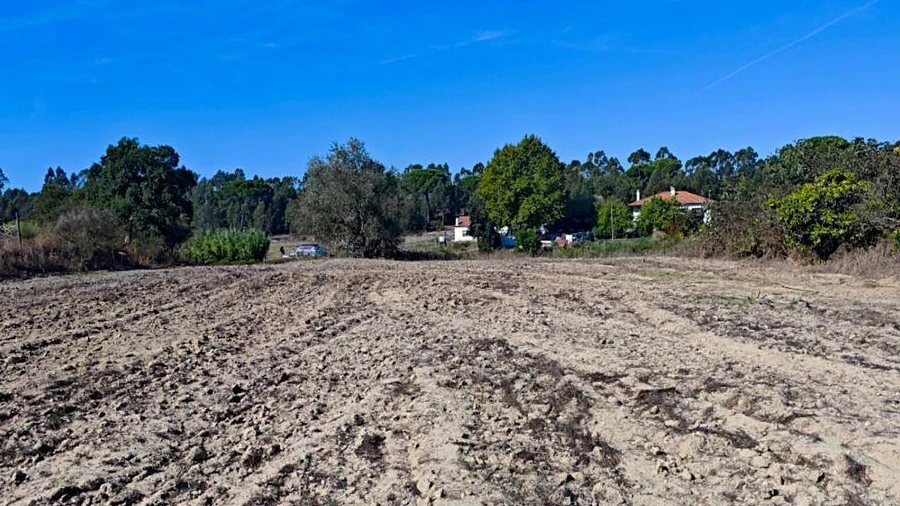 Terreno para Venda em Coruche, Fajarda e Erra