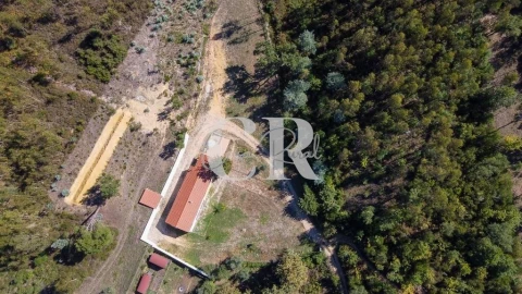 Moradia T3 para Venda em Serpins