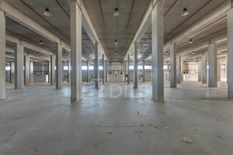 Armazém para Arrendamento em Santo Antão e São Julião do Tojal Foto 5