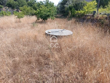 Quinta para Venda em Arcozelo das Maias