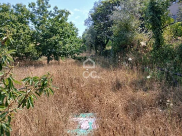 Quinta para Venda em Arcozelo das Maias