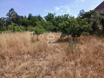 Quinta para Venda em Arcozelo das Maias