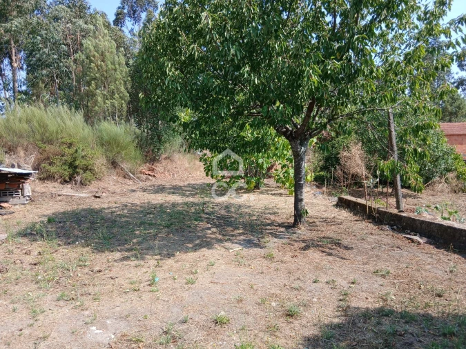 Quinta para Venda em Arcozelo das Maias Foto 14