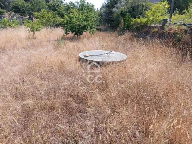 Quinta para Venda em Arcozelo das Maias Foto 11
