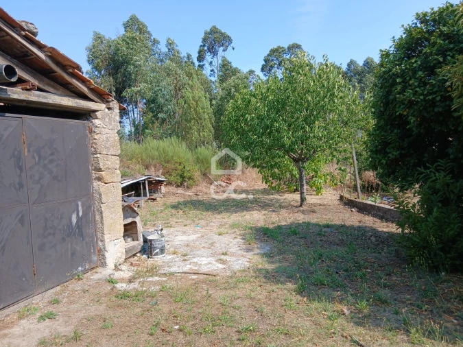 Quinta para Venda em Arcozelo das Maias Foto 5