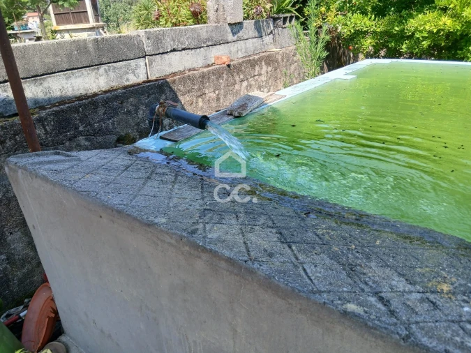 Quinta para Venda em Arcozelo das Maias Foto 9