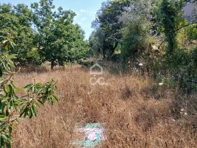 Quinta para Venda em Arcozelo das Maias Foto 16