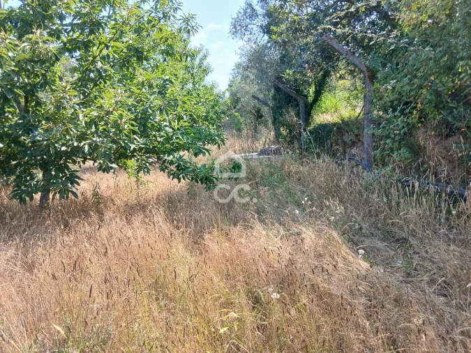 Quinta para Venda em Arcozelo das Maias Foto 12