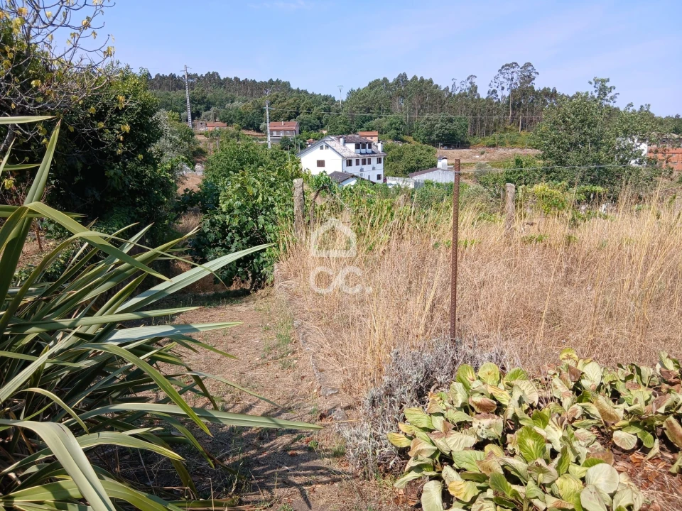 Quinta para Venda em Arcozelo das Maias Foto 15