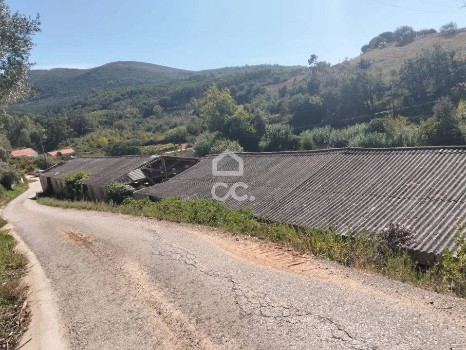 Terreno para Venda em Lamas e Cercal Foto 11