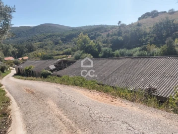 Terreno para Venda em Lamas e Cercal