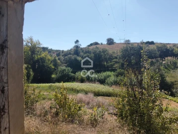 Terreno para Venda em Lamas e Cercal