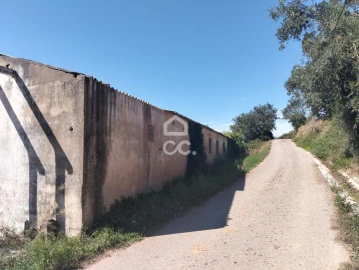 Terreno para Venda em Lamas e Cercal