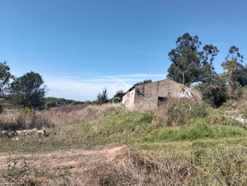 Terreno para Venda em Lamas e Cercal