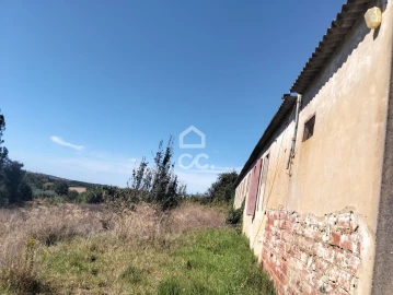 Terreno para Venda em Lamas e Cercal