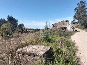 Terreno para Venda em Lamas e Cercal