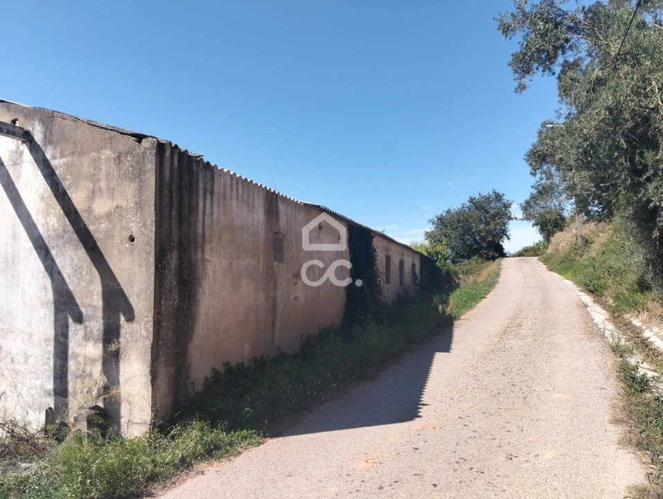 Terreno para Venda em Lamas e Cercal Foto 10