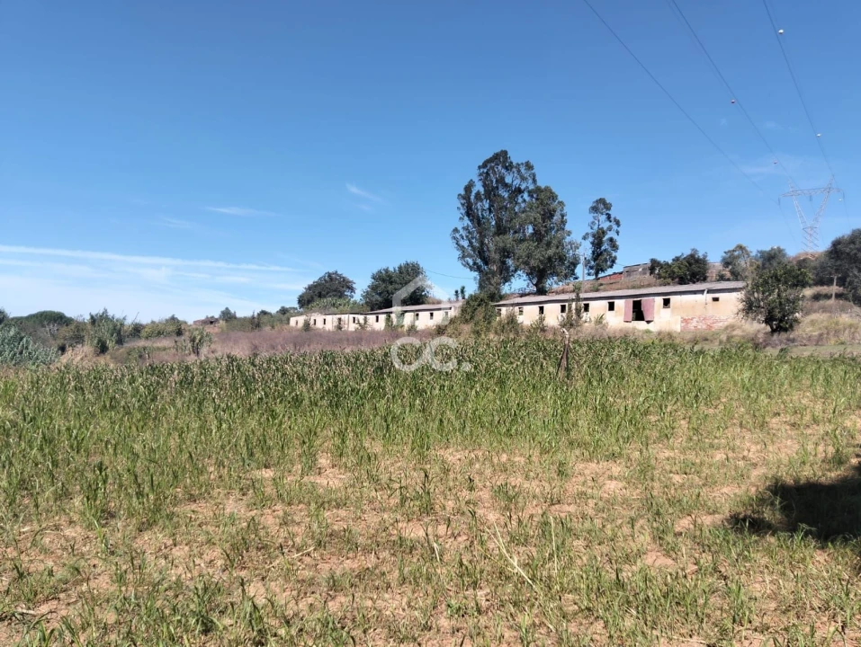 Terreno para Venda em Lamas e Cercal Foto 1