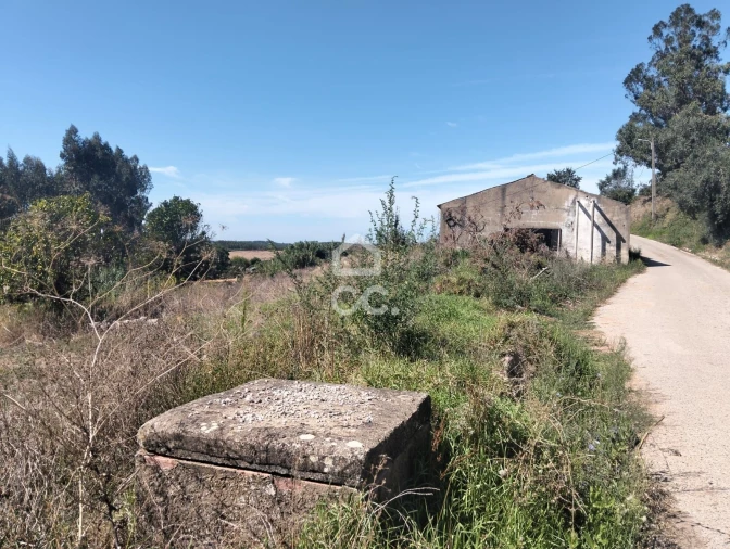 Terreno para Venda em Lamas e Cercal Foto 3