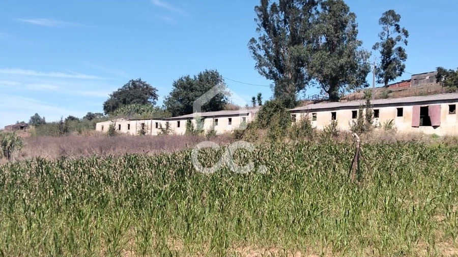 Terreno para Venda em Lamas e Cercal