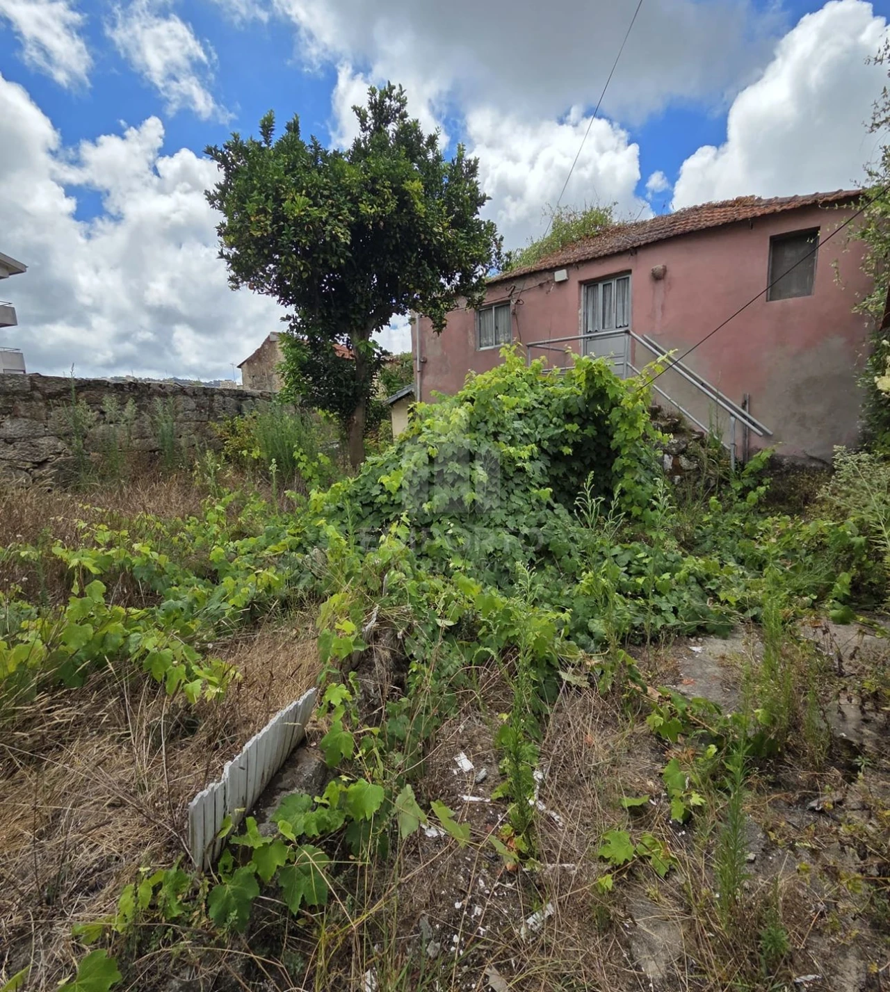 Moradia para Venda em Oliveira do Douro Foto 4
