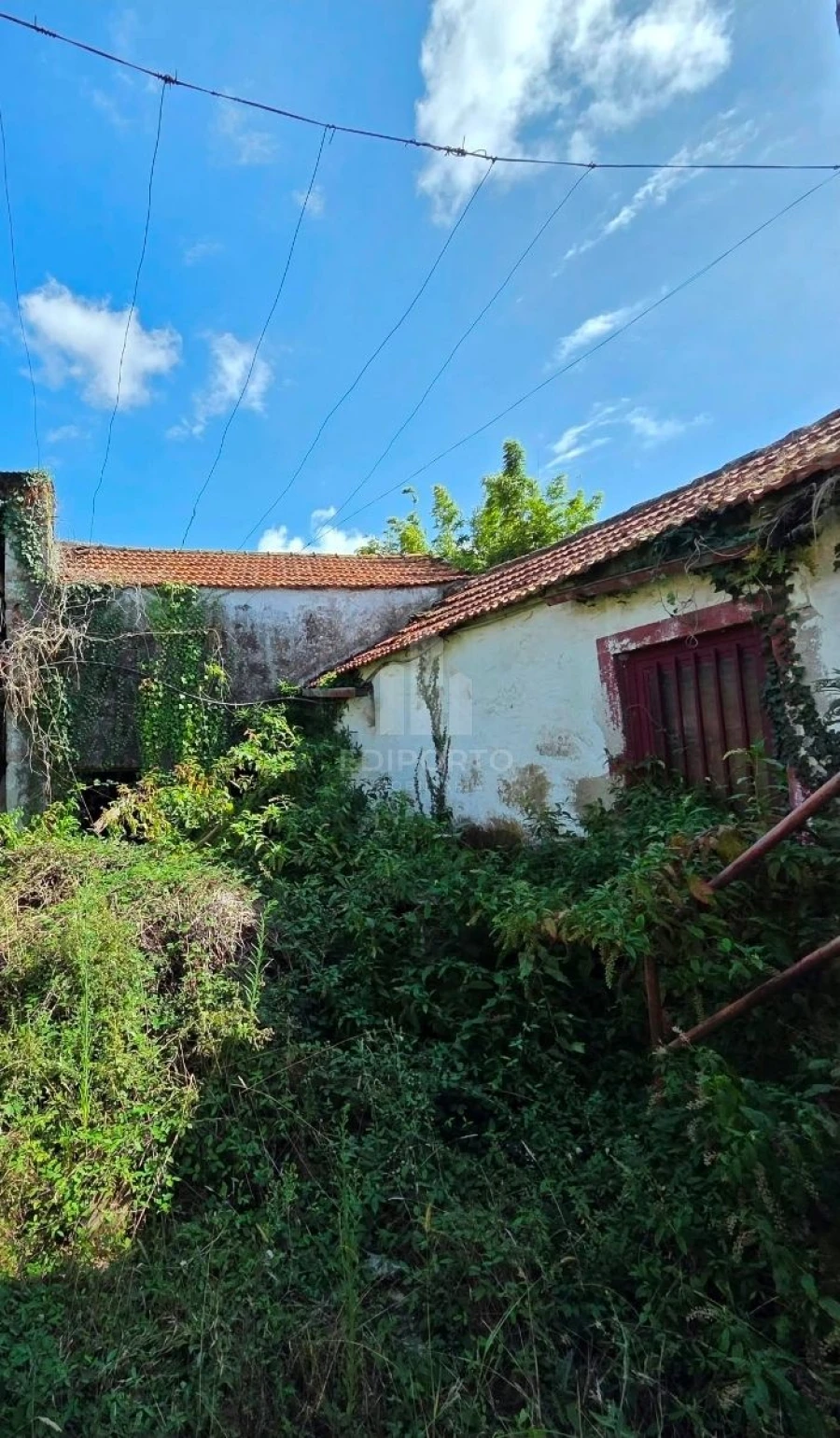 Moradia para Venda em Oliveira do Douro Foto 16