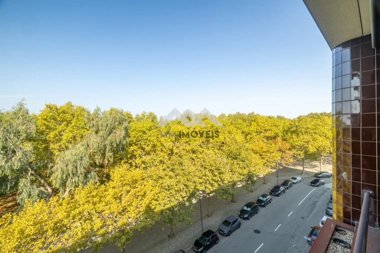 Apartamento T3 para Arrendamento em Aldoar, Foz do Douro e Nevogilde Foto 6