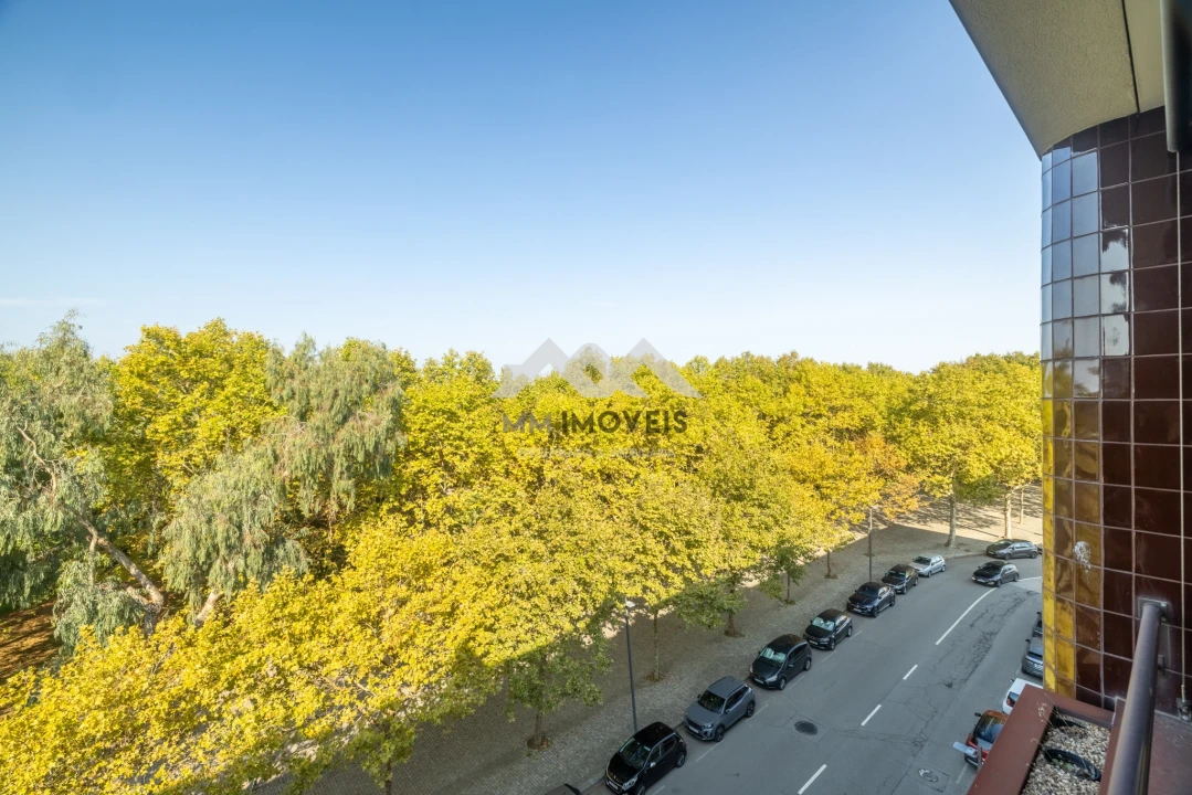Apartamento T3 para Arrendamento em Aldoar, Foz do Douro e Nevogilde Foto 6
