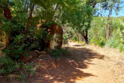 Terreno para Venda em Portimão