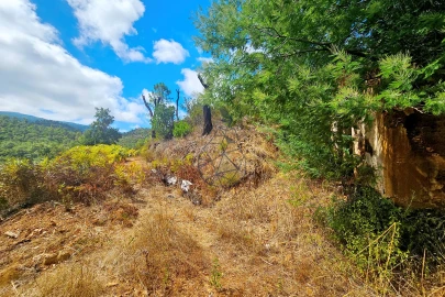 Terreno para Venda em Portimão