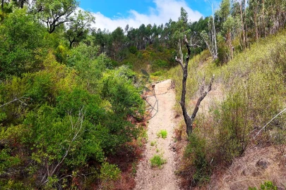 Terreno para Venda em Portimão