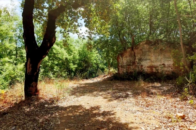 Terreno para Venda em Portimão