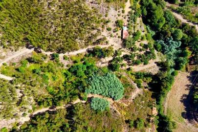 Terreno para Venda em Portimão