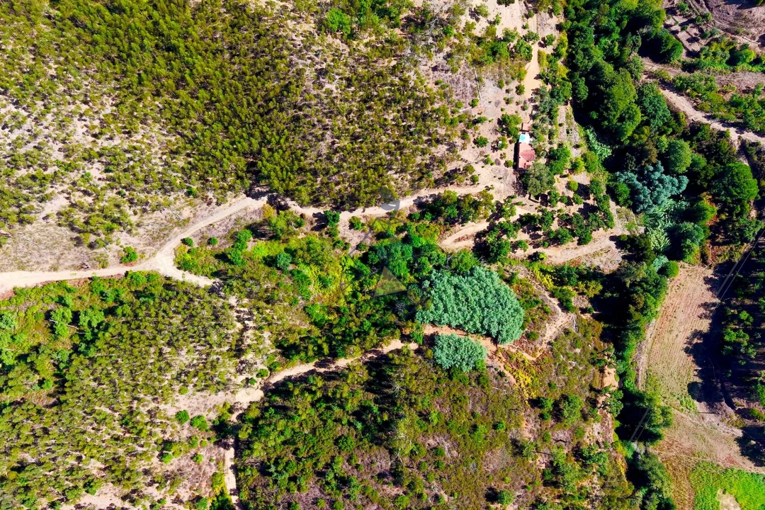 Terreno para Venda em Portimão Foto 16