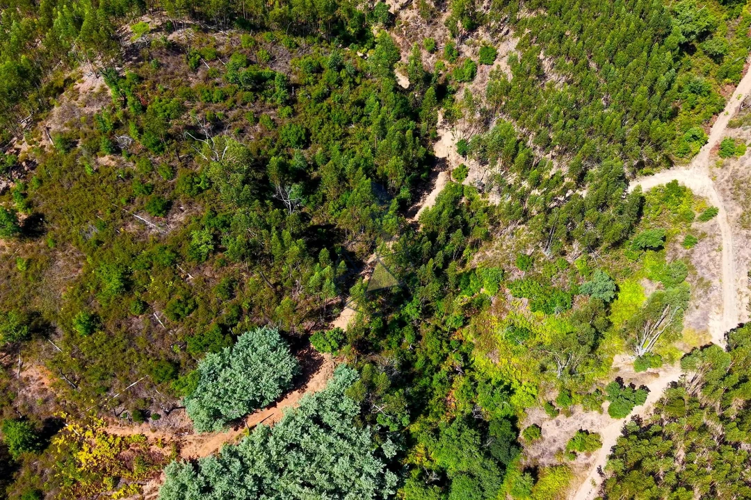 Terreno para Venda em Portimão Foto 33