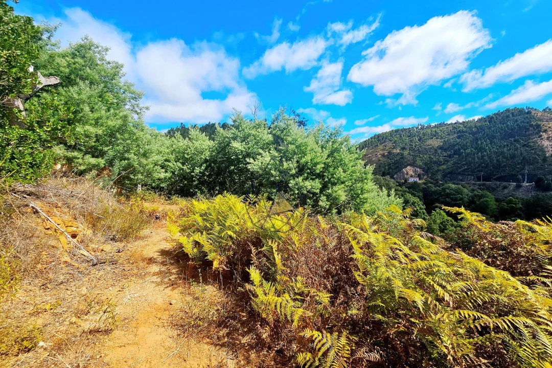 Terreno para Venda em Portimão Foto 27