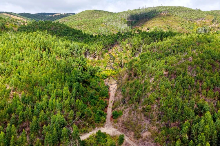Terreno para Venda em Portimão Foto 4