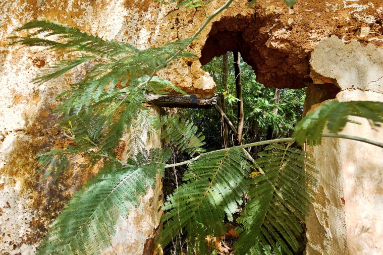Terreno para Venda em Portimão Foto 25