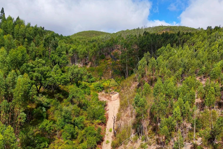 Terreno para Venda em Portimão Foto 12
