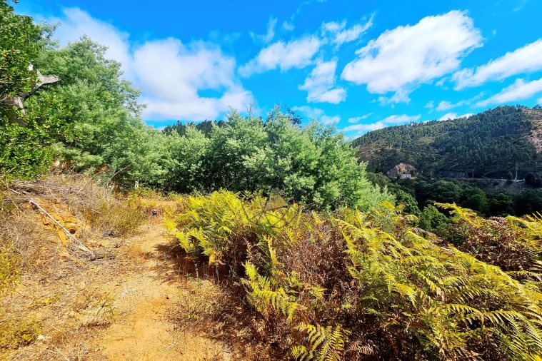 Terreno para Venda em Portimão Foto 27