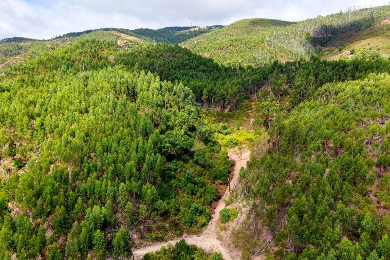 Terreno para Venda em Portimão Foto 13
