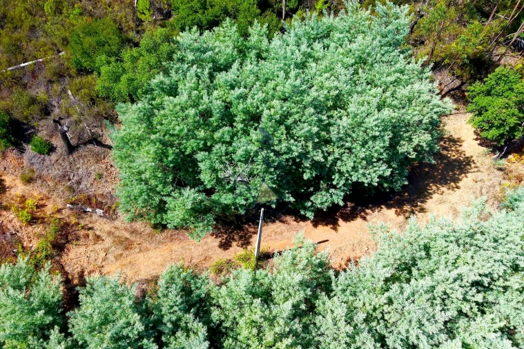 Terreno para Venda em Portimão Foto 19