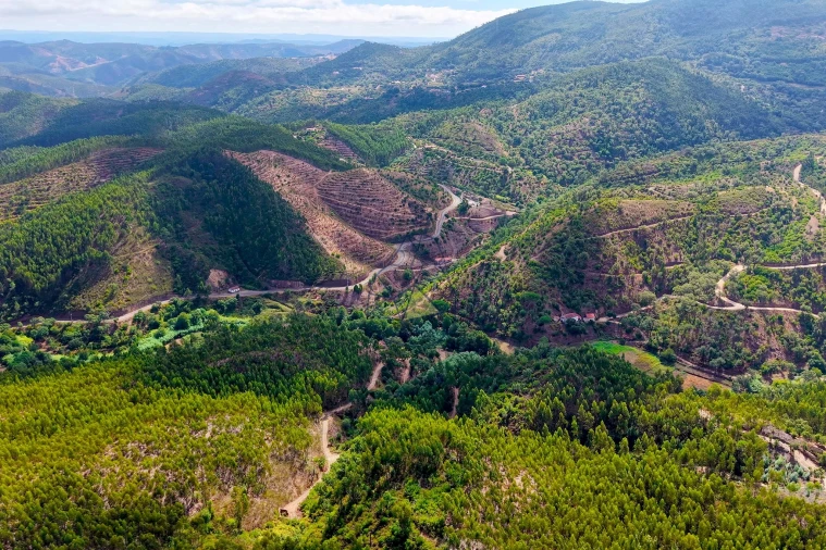 Terreno para Venda em Portimão Foto 15