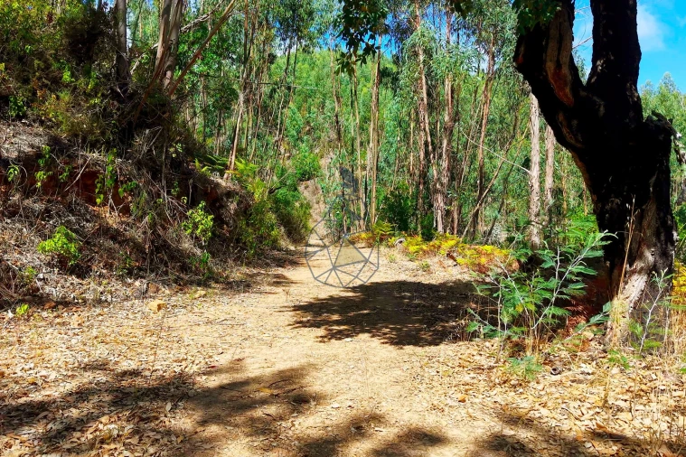 Terreno para Venda em Portimão Foto 31