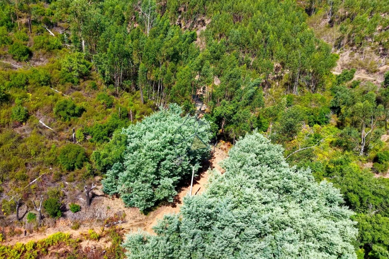 Terreno para Venda em Portimão Foto 32