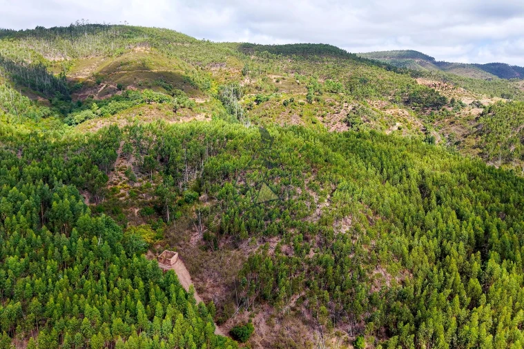 Terreno para Venda em Portimão Foto 14
