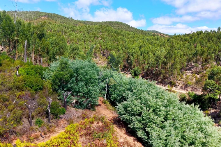Terreno para Venda em Portimão Foto 18
