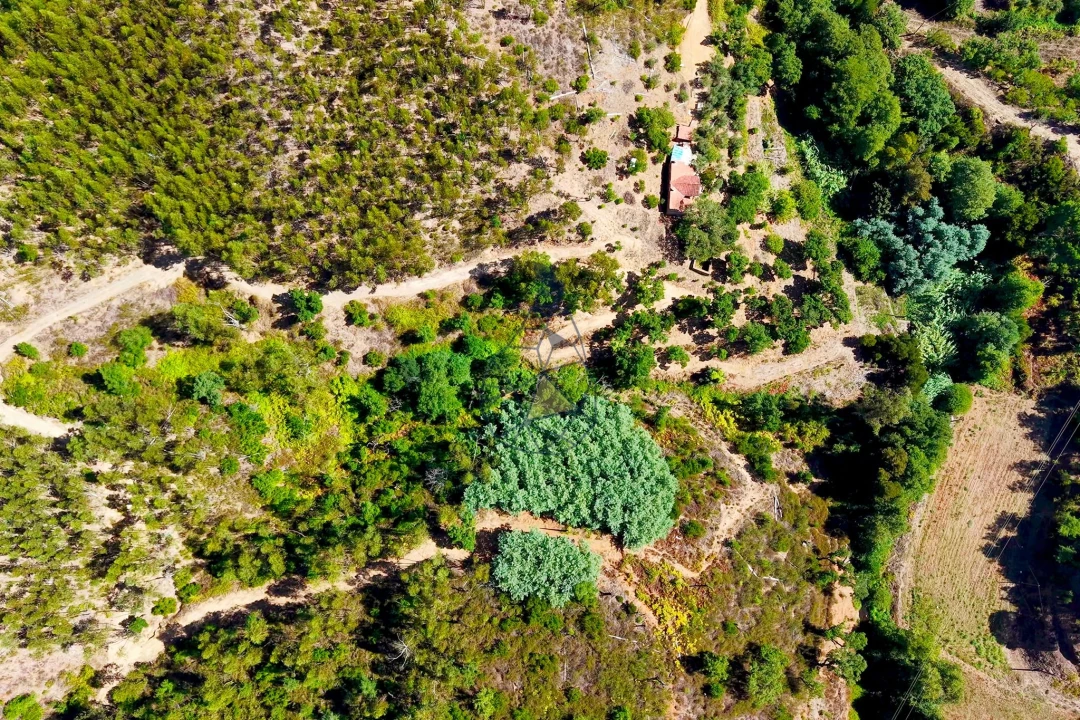 Terreno para Venda em Portimão Foto 34