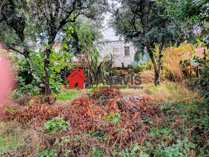 Prédio para Venda em Calde Foto 16
